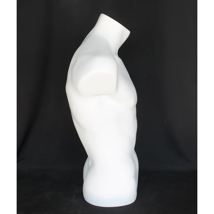 MT15-WT - 27 in Full Round Male Torso Form mannequin Display