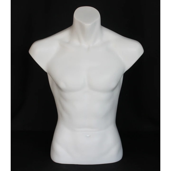 MT15-WT - 27 in Full Round Male Torso Form mannequin Display