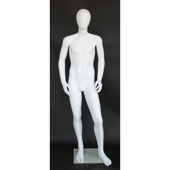 5 ft 7 in Tall Male Mannequin Egg head Matte white -CB19E-WT