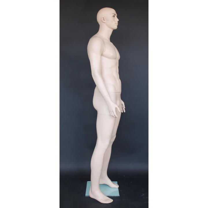 6 ft 3 in Male Mannequin Large Size Realistic look M796-FT