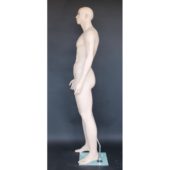 6 ft 3 in Male Mannequin Large Size Realistic look M796-FT