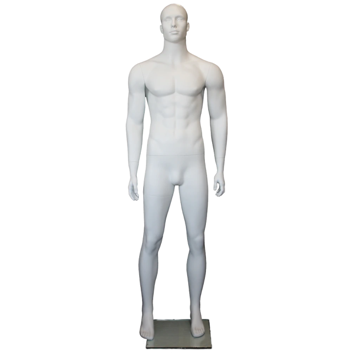 6 ft 3 in Muscular Male Mannequin Bald Head Featured Face SFM6-WT