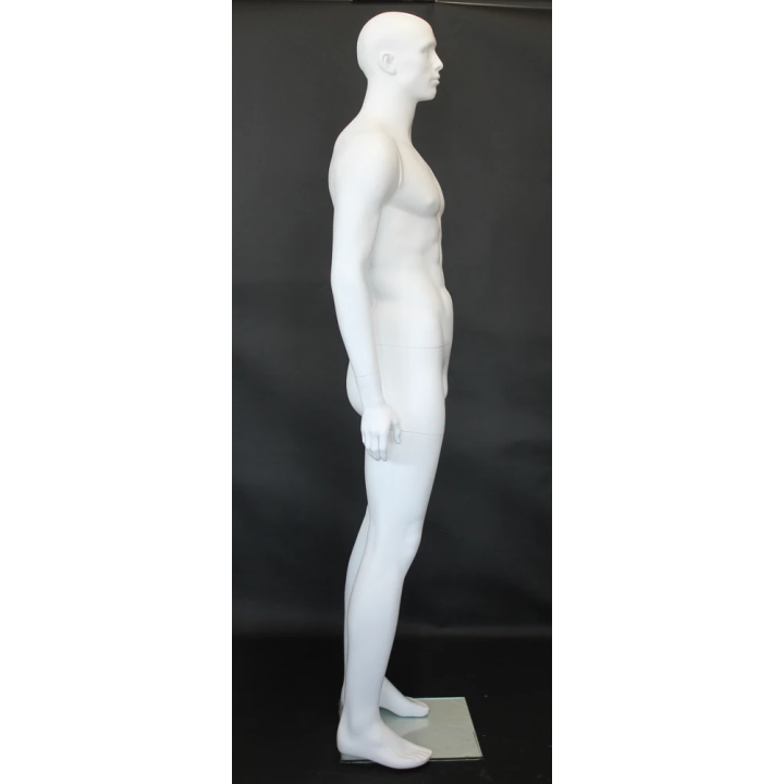 6 ft 3 in Muscular Male Mannequin Bald Head Featured Face SFM6-WT